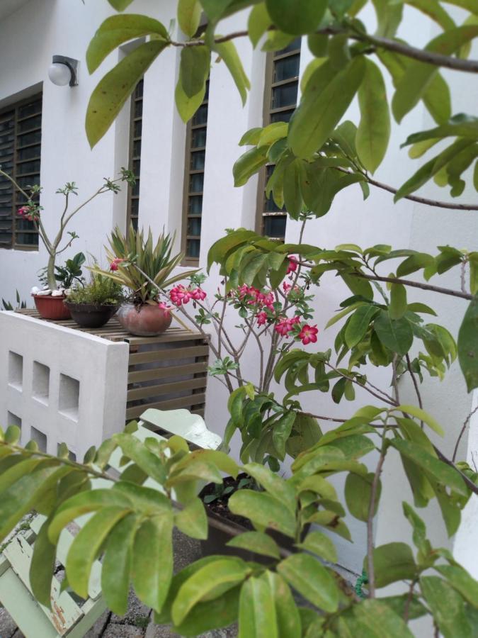 Ferienwohnung Departamentos De La Reina Roja Palenque Exterior foto