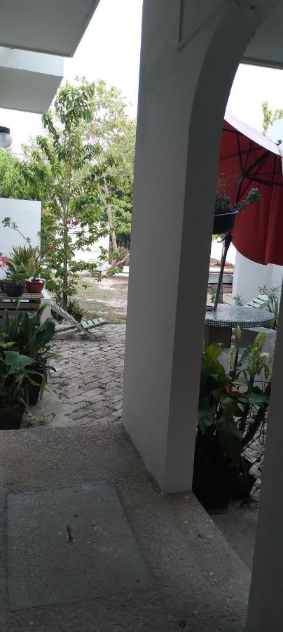 Ferienwohnung Departamentos De La Reina Roja Palenque Exterior foto