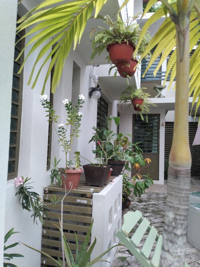 Ferienwohnung Departamentos De La Reina Roja Palenque Exterior foto