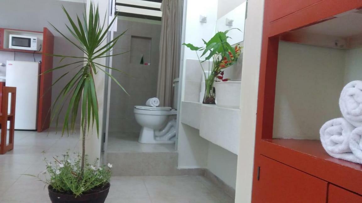 Ferienwohnung Departamentos De La Reina Roja Palenque Exterior foto