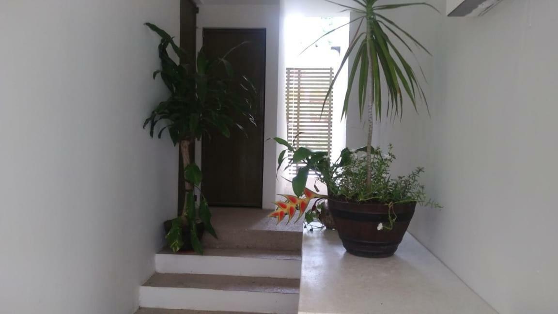 Ferienwohnung Departamentos De La Reina Roja Palenque Exterior foto