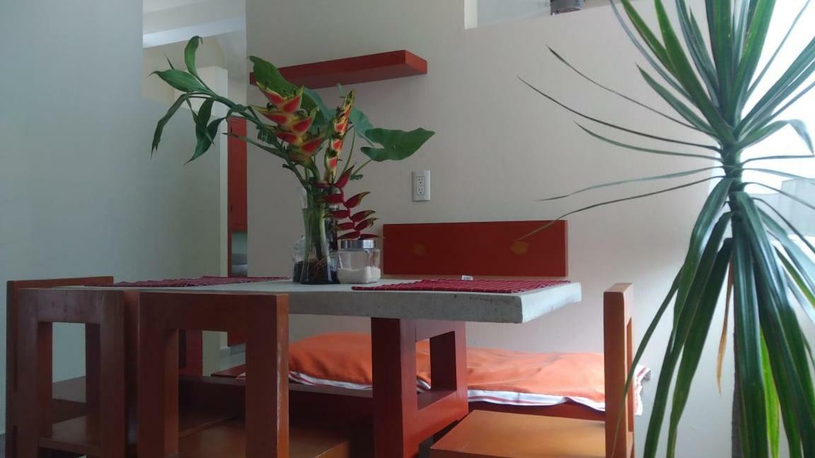 Ferienwohnung Departamentos De La Reina Roja Palenque Exterior foto